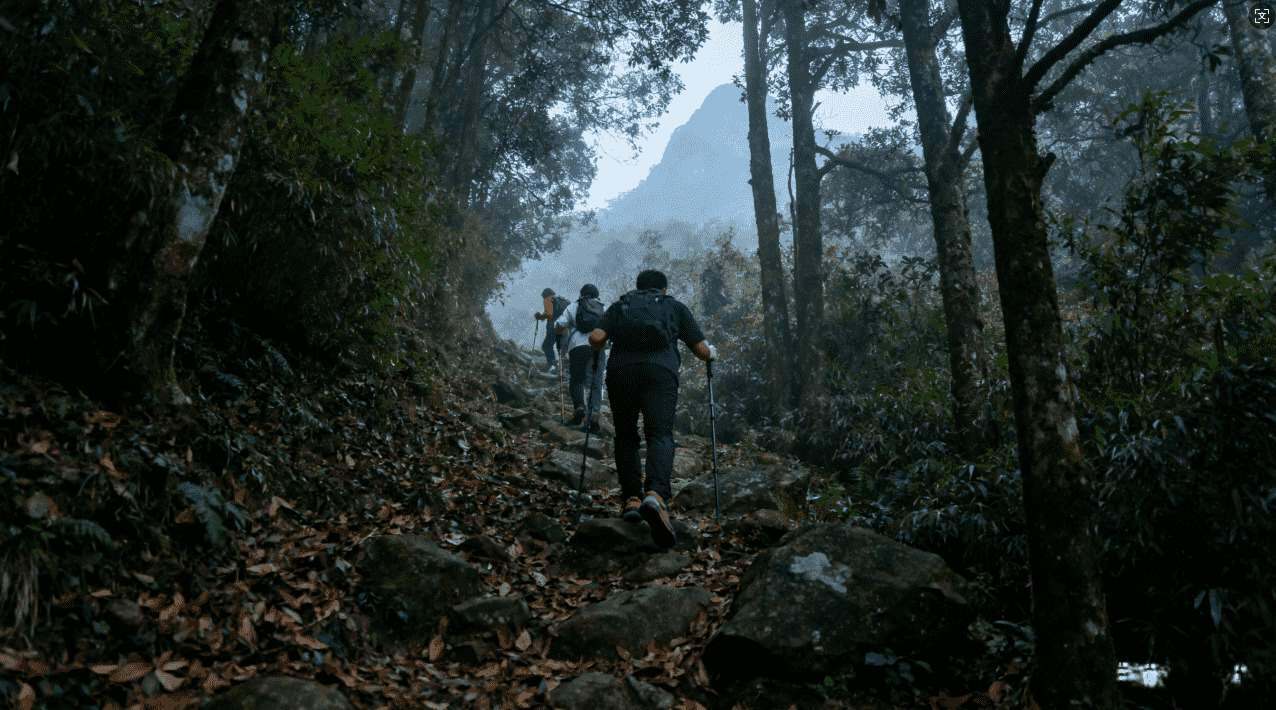 小黄鸭飞机加速器助力，极速畅享高速网络体验